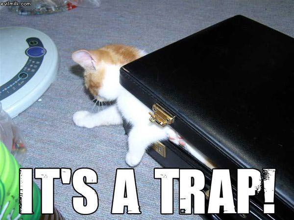 Briefcase Trap