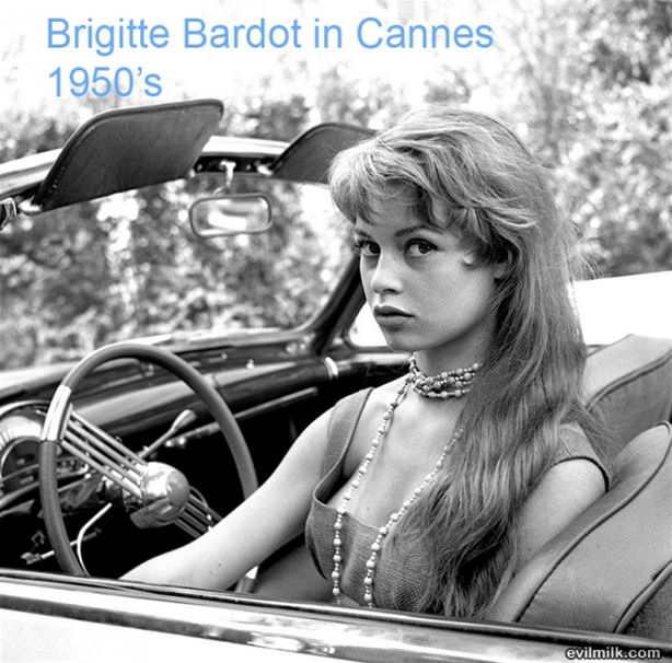 Brigitte Bardot In Cannes 1950s