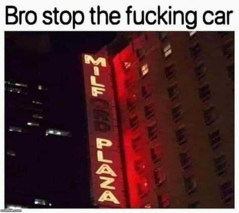 Bro Stop The Car