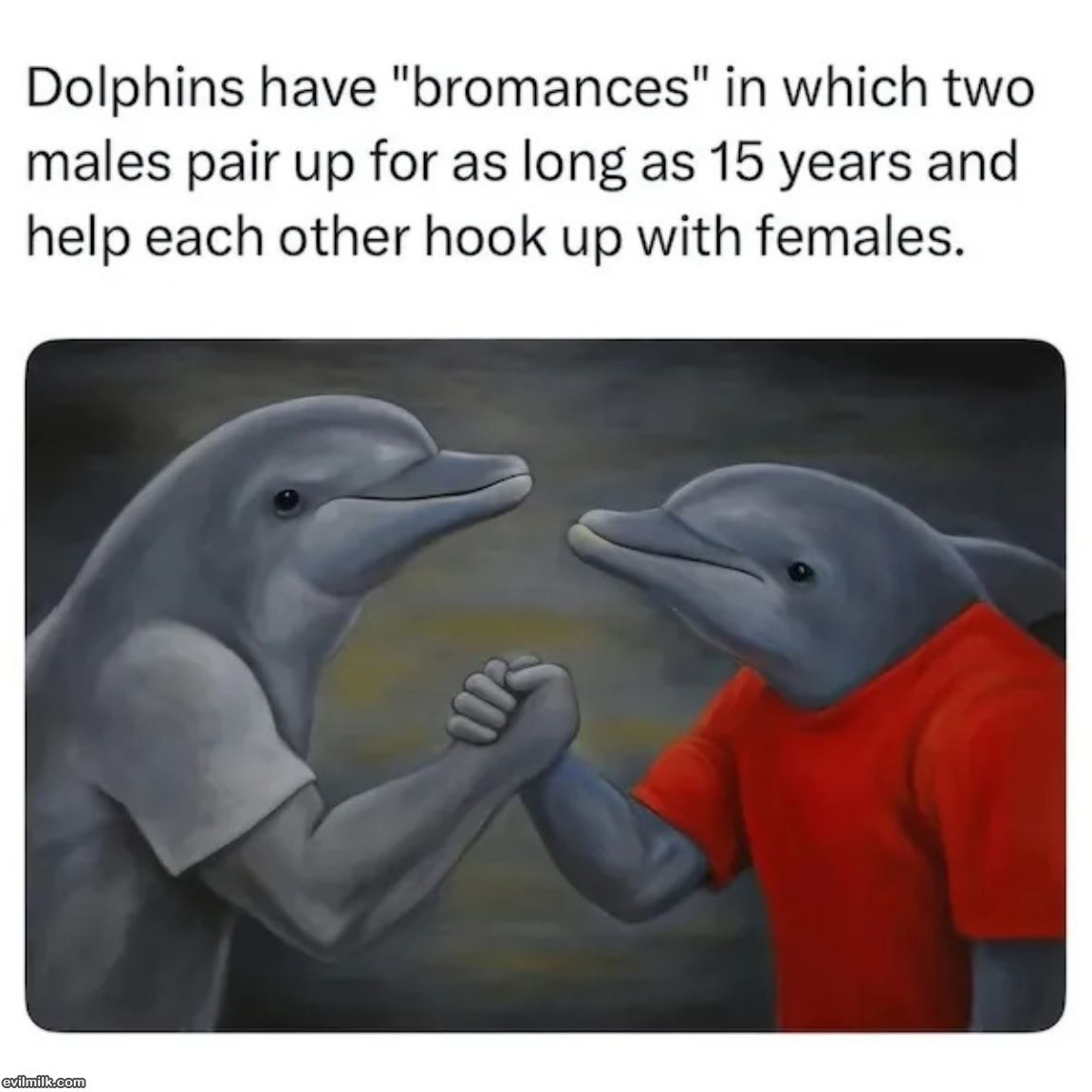 Bromance