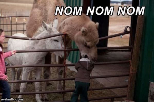 Brommm Nom Nom