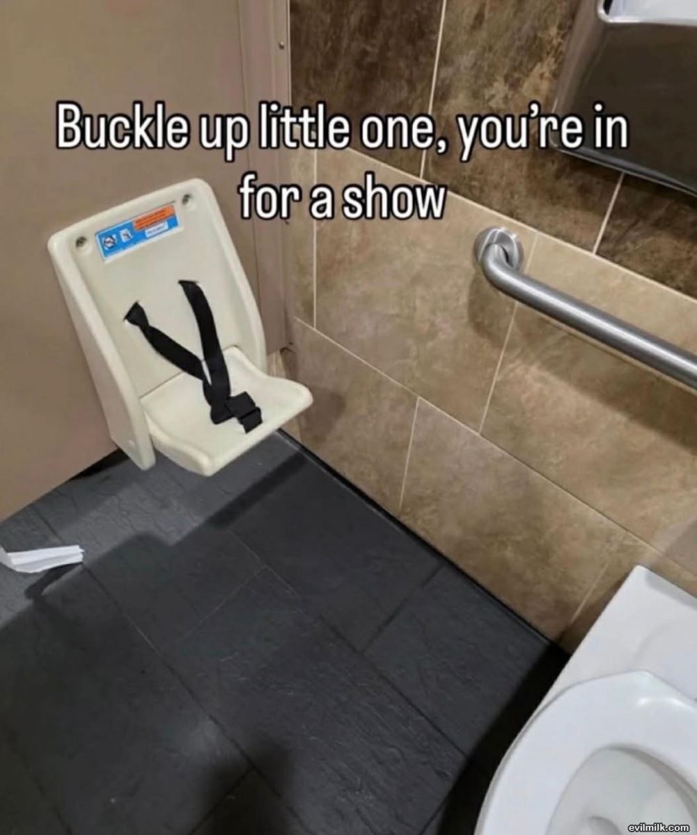 Buckle Up