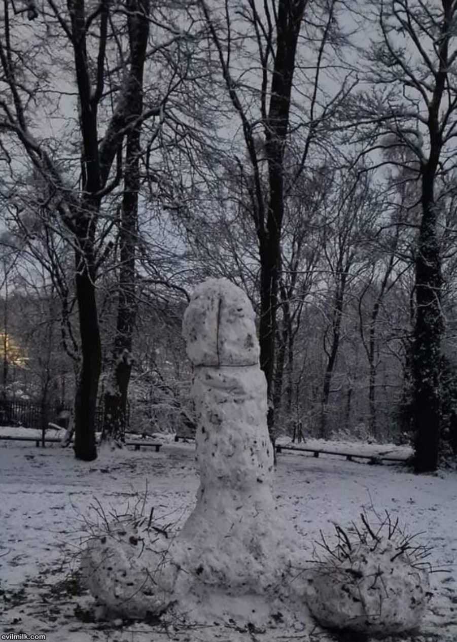 Built A New Snowman