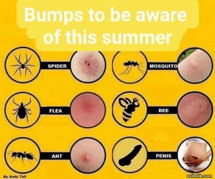 Bumps To Be Aware Of