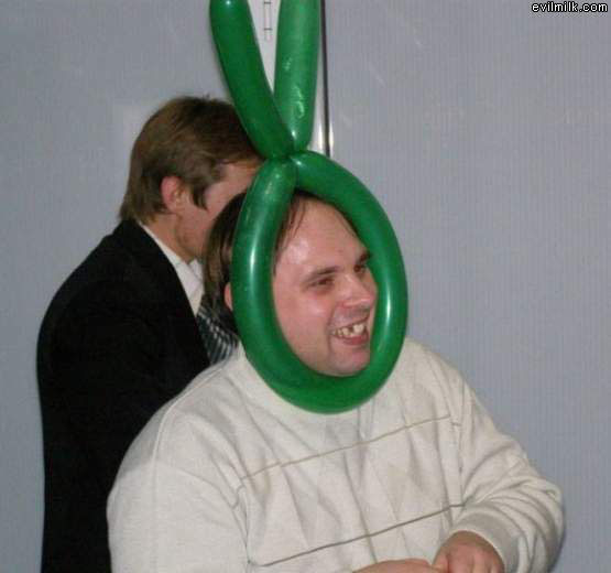Bunny