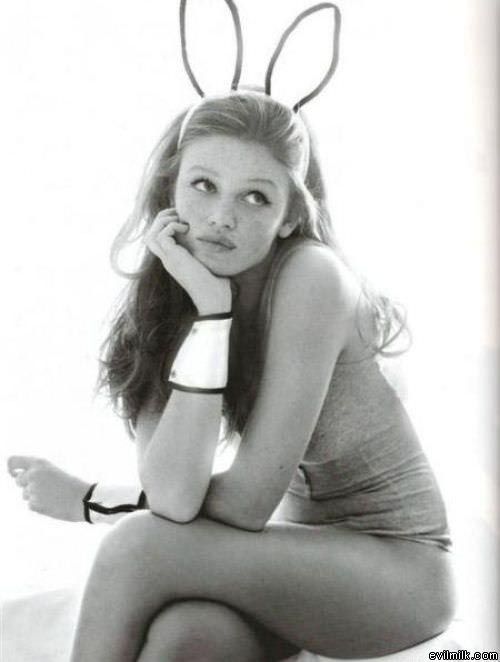 Bunny