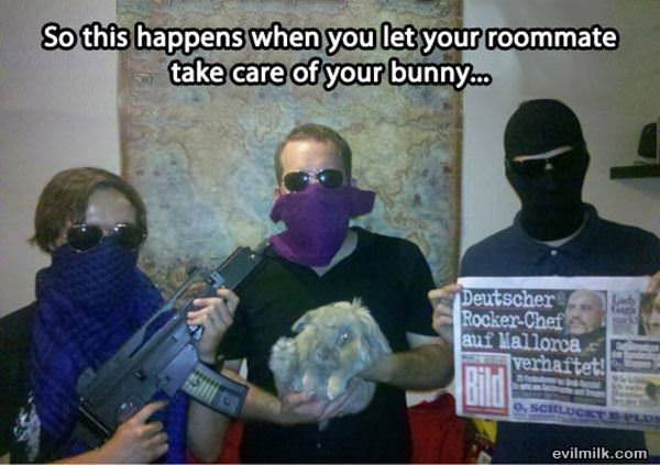 Bunny Sitting