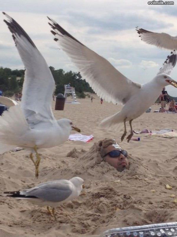 Buried In The Sand