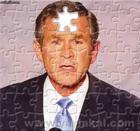 Bush Puzzle