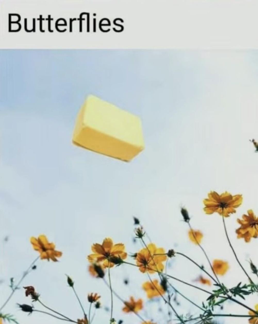 Butterflies