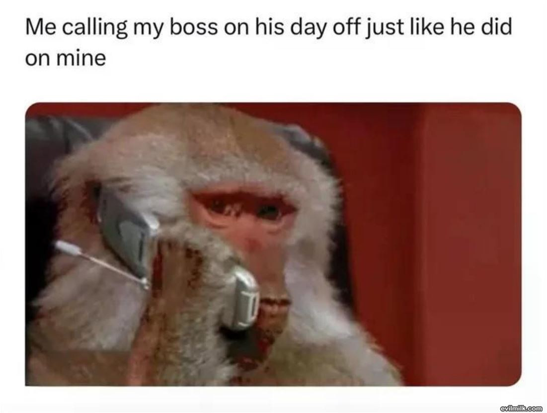Calling The Boss