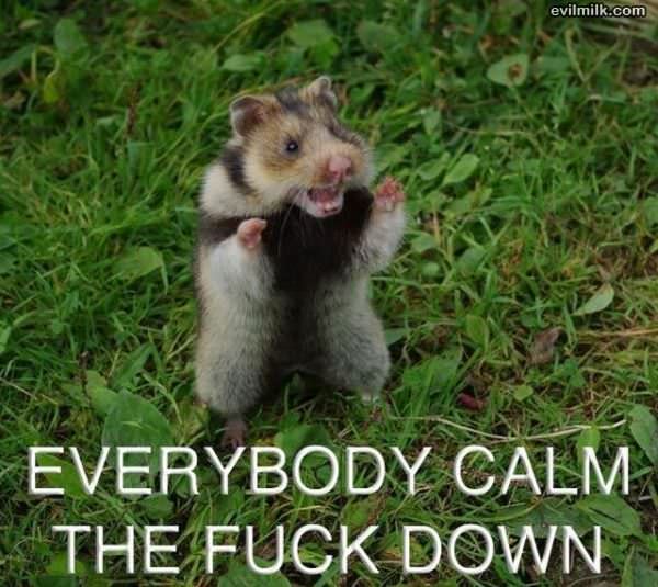 Calm Down