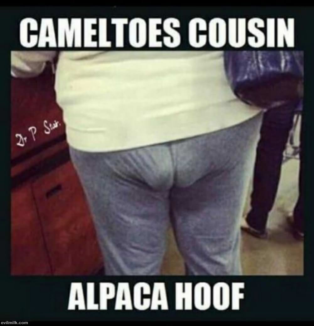 Cameltoes Cousin