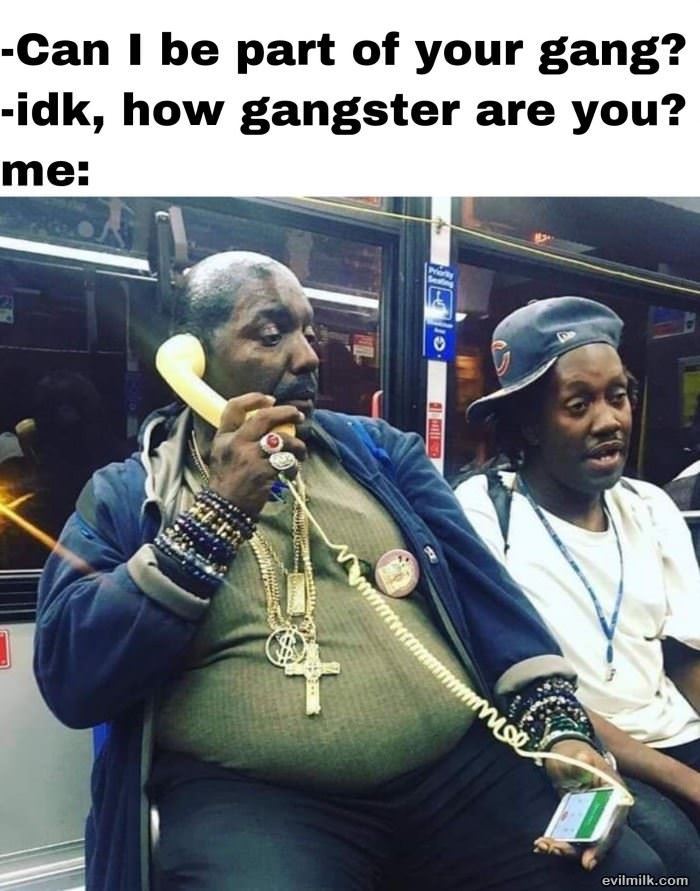 Can I Be In Your Gang