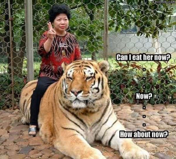 Can I Eat Her