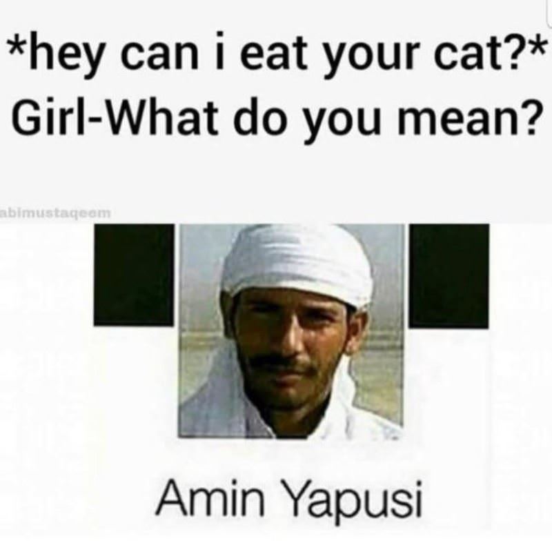 Can I Eat Your Cat
