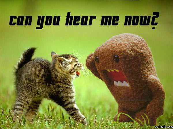 Can You Hear Me Now