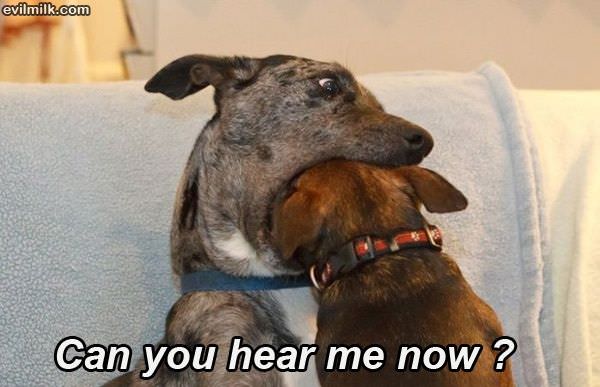 Can You Hear Me Now
