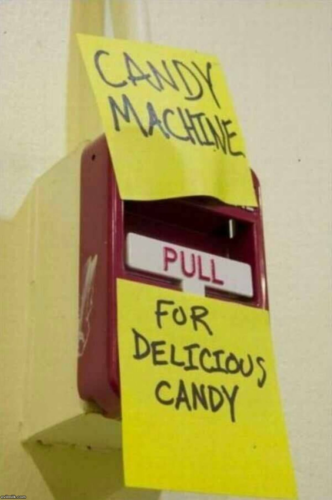 Candy Machine