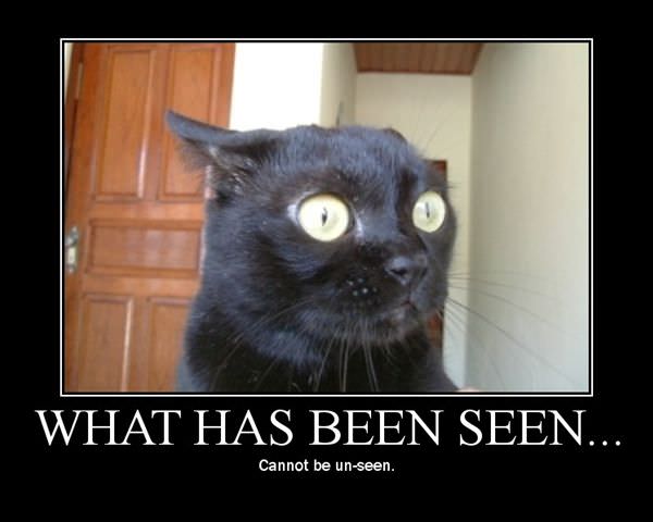 Cannot Be Unseen