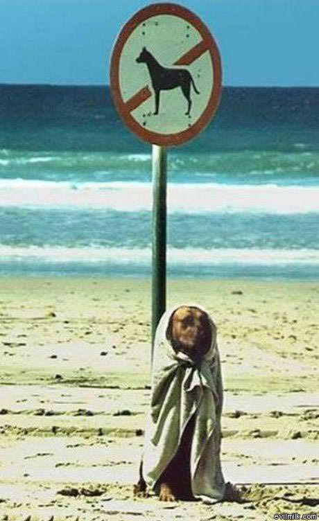 Cant Catch Me