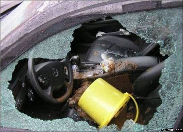 Car Shit