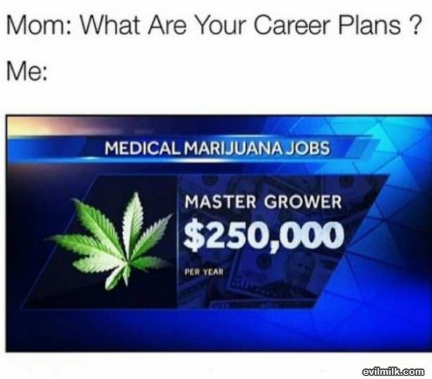 Career Plans