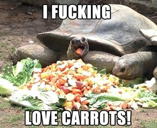 Carrots