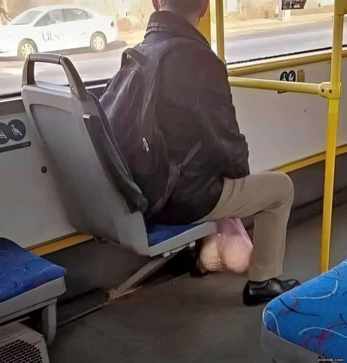 Carry Me Home