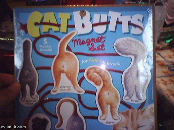 Cat Butts Magnets