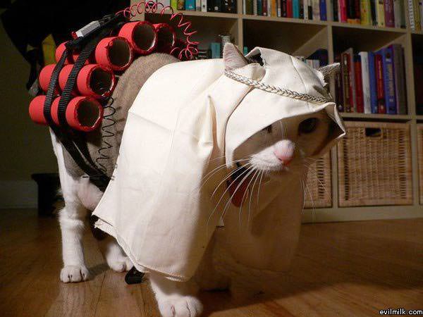 Cat Extremist