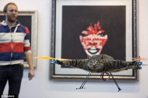 Cat Helicopter