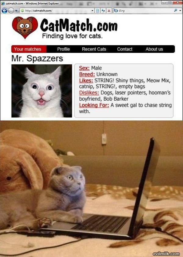 chatroulette