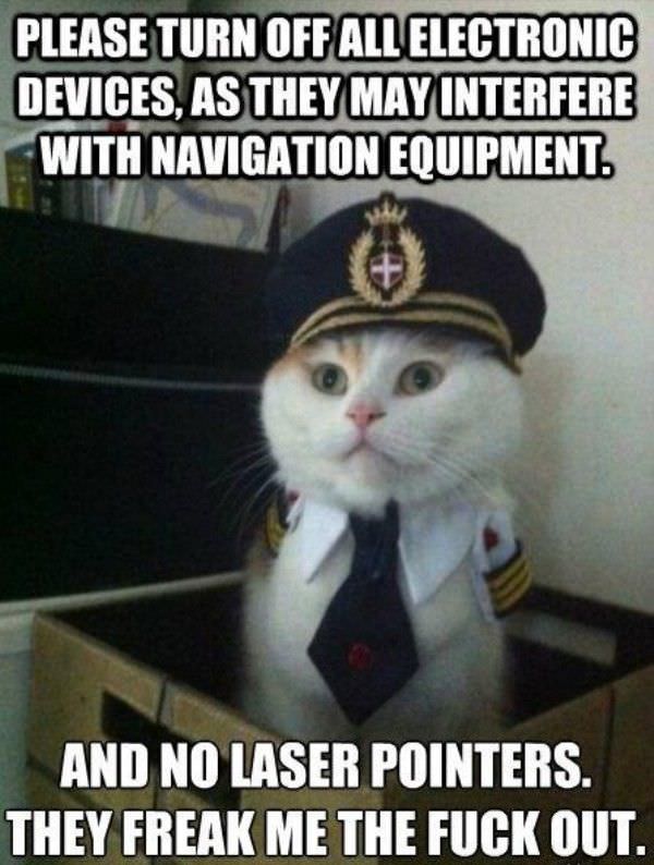 Cat Pilot