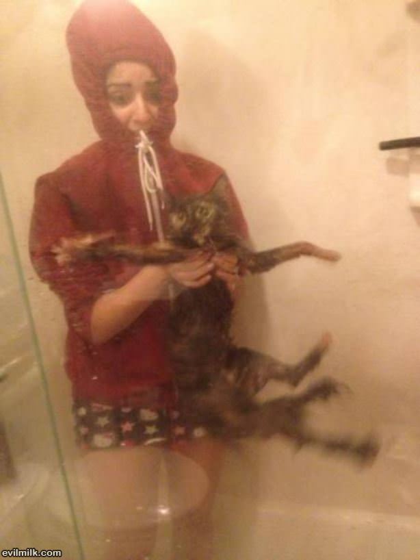 Cat Taking A Shower