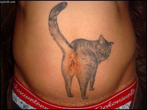 Cat Tattoo