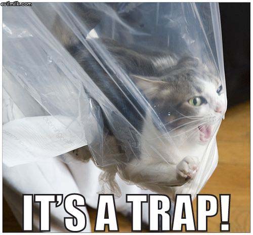 Cat Trap