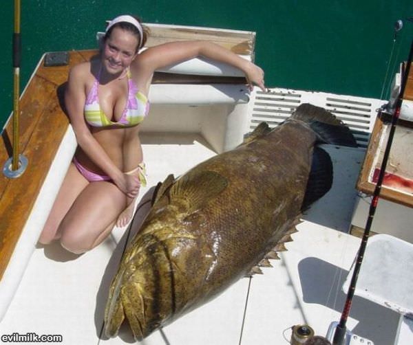 Caught A Fish