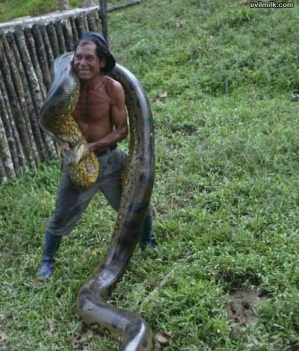 Caught A Little Snake