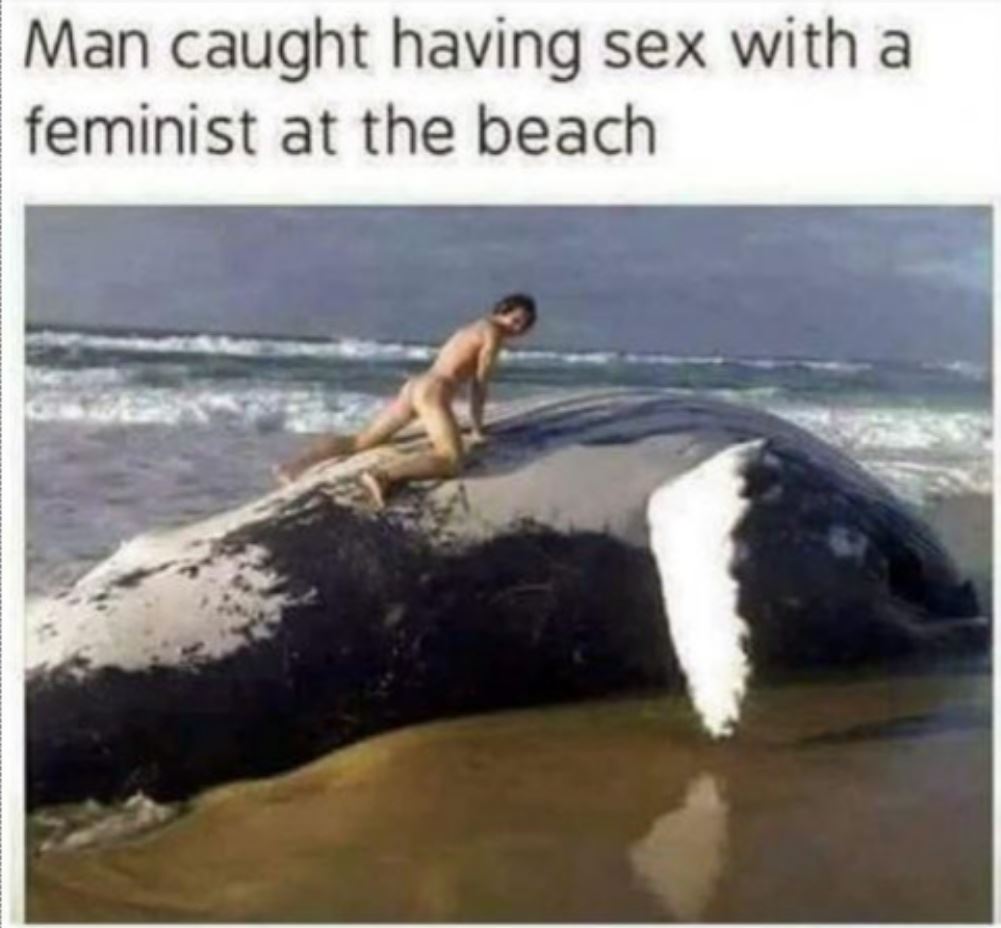Caught At The Beach