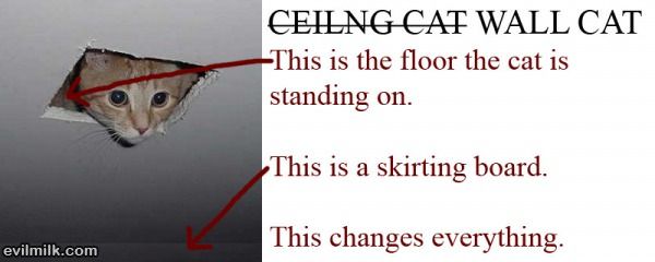 Ceiling Cat