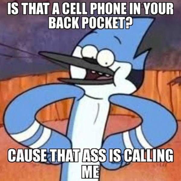 Cell Phone