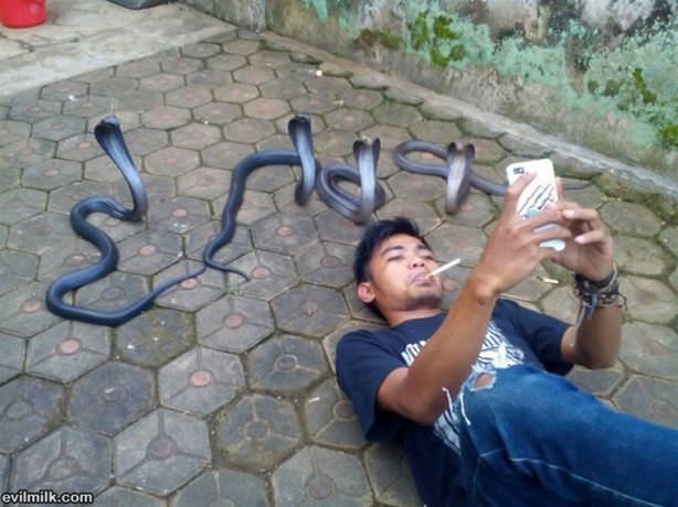 Charmer