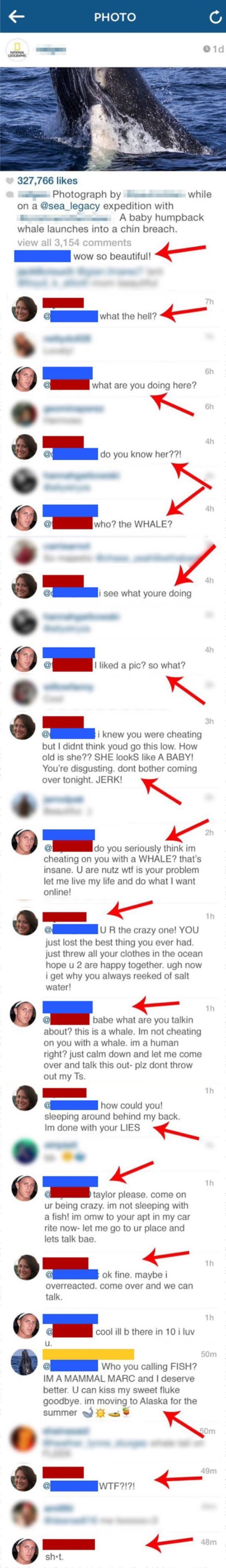 Cheater