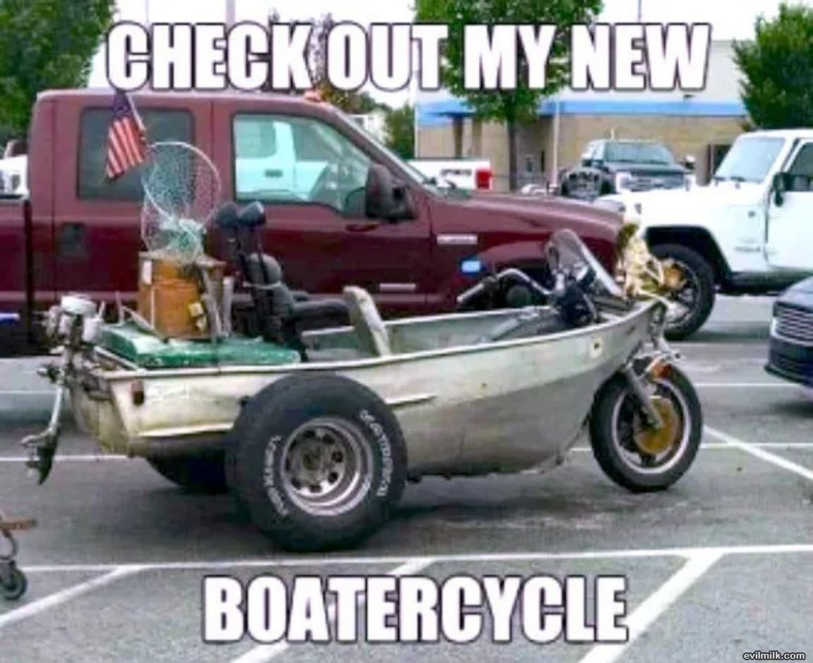 Check It Out