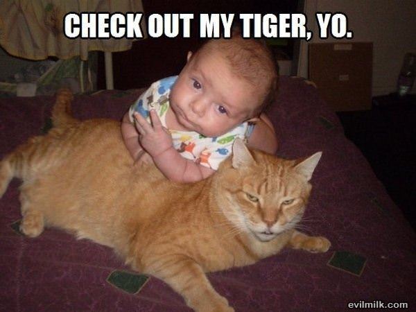 Check Out My Tiger