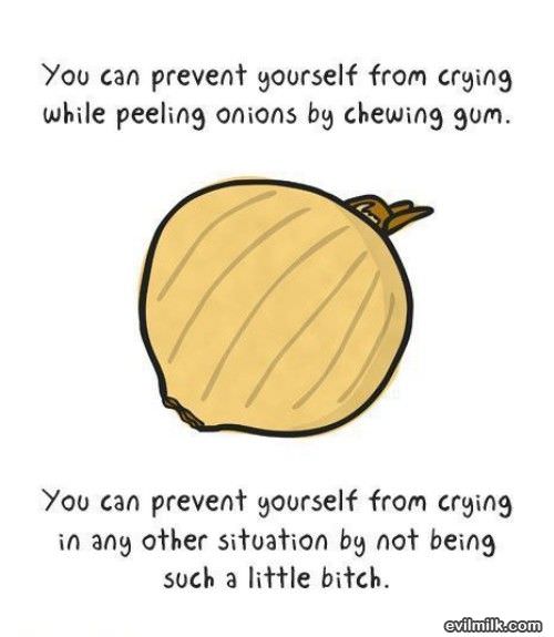 Chew Some Gum