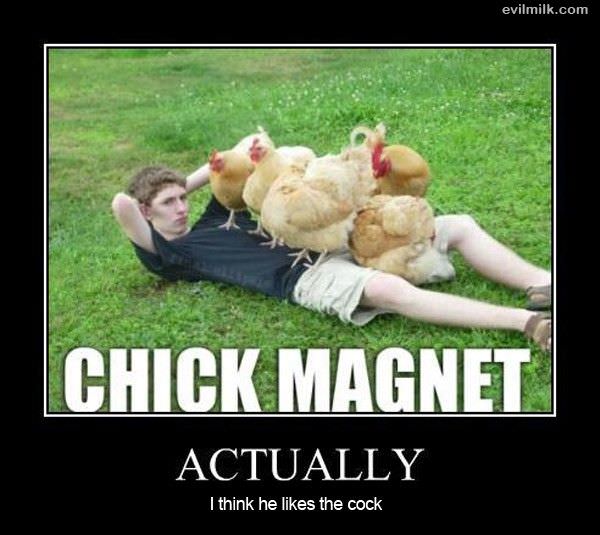 Chick Magnet