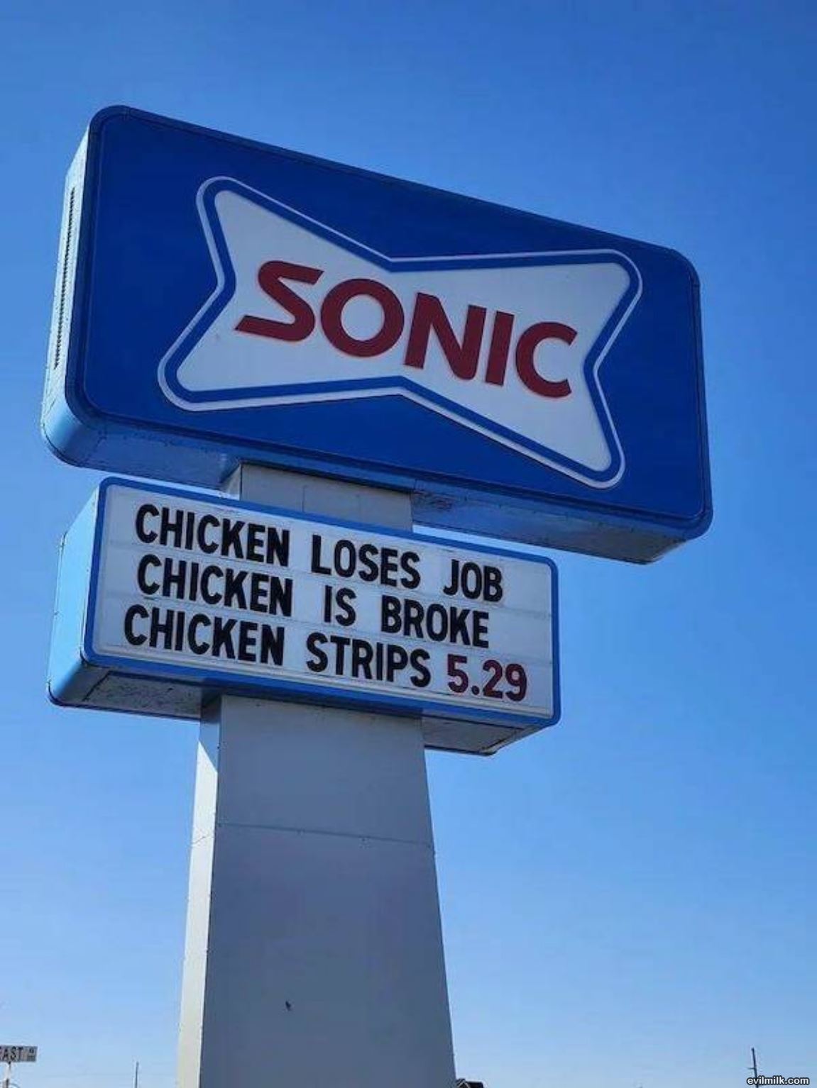 Chicken