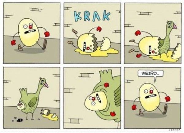 Chicken Or The Egg